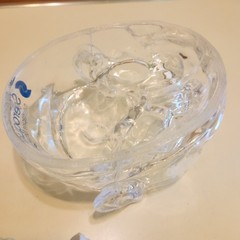 Seroquel Head Skull Brain Model Medical Pharmaceutical Science Display Clear