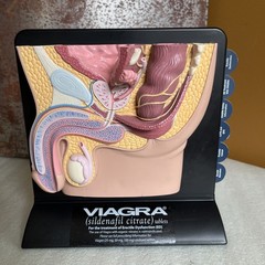 Vintage Viagra Detrol LA s Anatomy Model Pfizer Informational Pull Out Cards