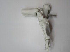 Pfizer Pharmaceutical Advertisement Celebrex Bextra Arthritis Display Model