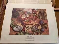 12 Parke Davis Drug Store Lithographs 1950’s A HISTORY OF PHARMACY IN PICTURES
