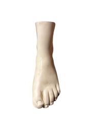 Anatomical foot display – Merck, Sharp & Dohme, please read