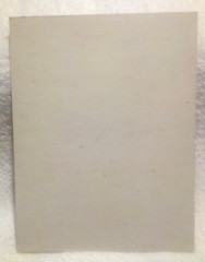 Dr. Hunt’s Corn Remover Vtg Adv Display Poster American Chemical Co. Urbana Ohio
