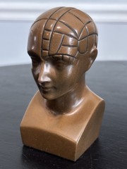 PHRENOLOGY HEAD-Medical Advertising-Promotional Statue BUST-Discontinued PAXIPAM