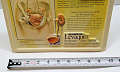 Ortho-McNeil Pharmaceutical Levaquin Genitourinary System Display Model