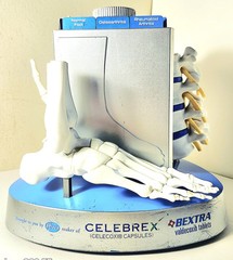 „Anatomical Arthritis Model“ Of a Hand, Foot, & Spine ~Pfizer~ Celebrex/Bextra