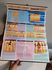 Vintage ANACIN Tablets WHITEHALL Laboratories ADVERTISING Dentist DENTAL POSTER