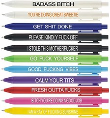 Cityhermit 11Pcs Funny Adult Ballpoint Pen Set, Premium Days of The Week Swea…